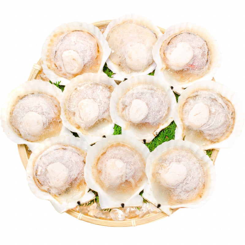 送料無料 ホタテ ほたて 特大 片貝ほたて 40枚 10枚×4袋 10〜11ｃｍの特大サイズ！北海道産のほたて貝【殻付きほたて 帆立 貝 バター焼き 浜焼き バーベキュー BBQ 業務用 豊洲市場 ギフト】