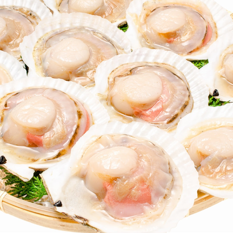 送料無料 ホタテ ほたて 特大 片貝ほたて 40枚 10枚×4袋 10〜11ｃｍの特大サイズ！北海道産のほたて貝【殻付きほたて 帆立 貝 バター焼き 浜焼き バーベキュー BBQ 業務用 豊洲市場 ギフト】