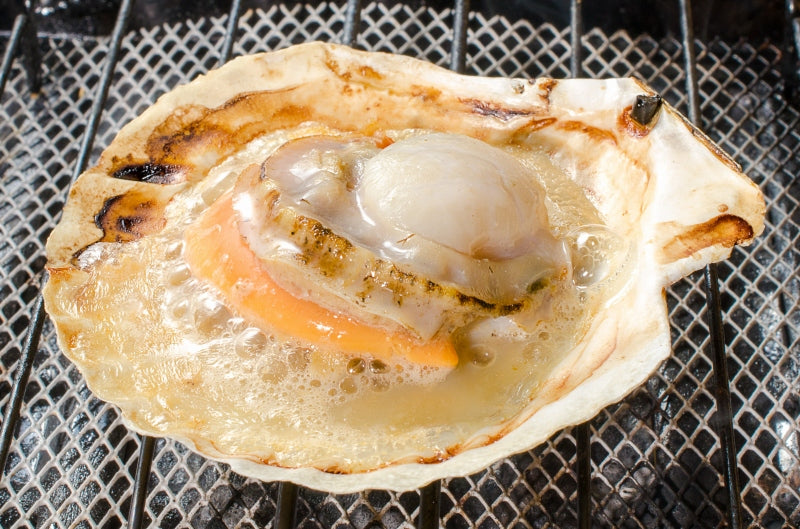送料無料 ホタテ ほたて 特大 片貝ほたて 40枚 10枚×4袋 10〜11ｃｍの特大サイズ！北海道産のほたて貝【殻付きほたて 帆立 貝 バター焼き 浜焼き バーベキュー BBQ 業務用 豊洲市場 ギフト】