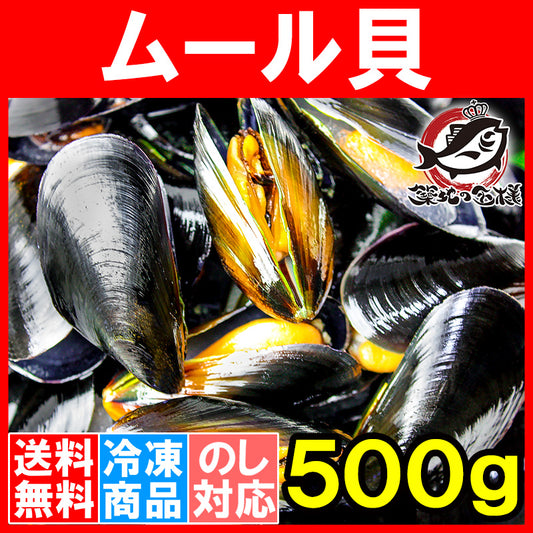 送料無料 ムール貝 ボイル 殻つき 500g 解凍後そのまま食べられます。【輸入食材 豊洲市場 鍋 パスタ パエリア ブイヤベース 香草焼き ワイン蒸し イタリアン スパニッシュ ムール貝通販 ギフト】