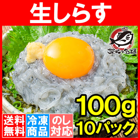 送料無料 生しらす 生シラス1kg 100g×10パック 約20人前 超新鮮な無添加の国産天然生しらす 極上の生しらす丼をご家庭で。【冷凍生しらす 生シラス丼 駿河湾産 江ノ島 鎌倉 静岡産】