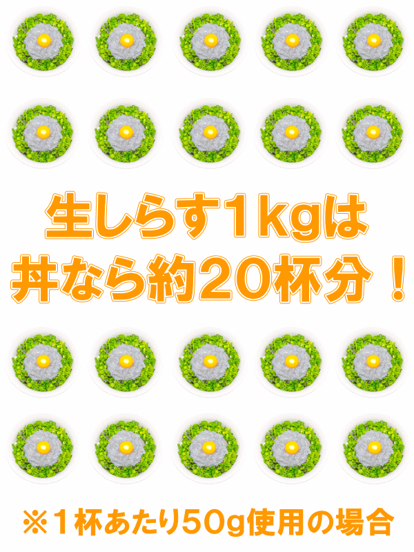 送料無料 生しらす 生シラス1kg 100g×10パック 約20人前 超新鮮な無添加の国産天然生しらす 極上の生しらす丼をご家庭で。【冷凍生しらす 生シラス丼 駿河湾産 江ノ島 鎌倉 静岡産】