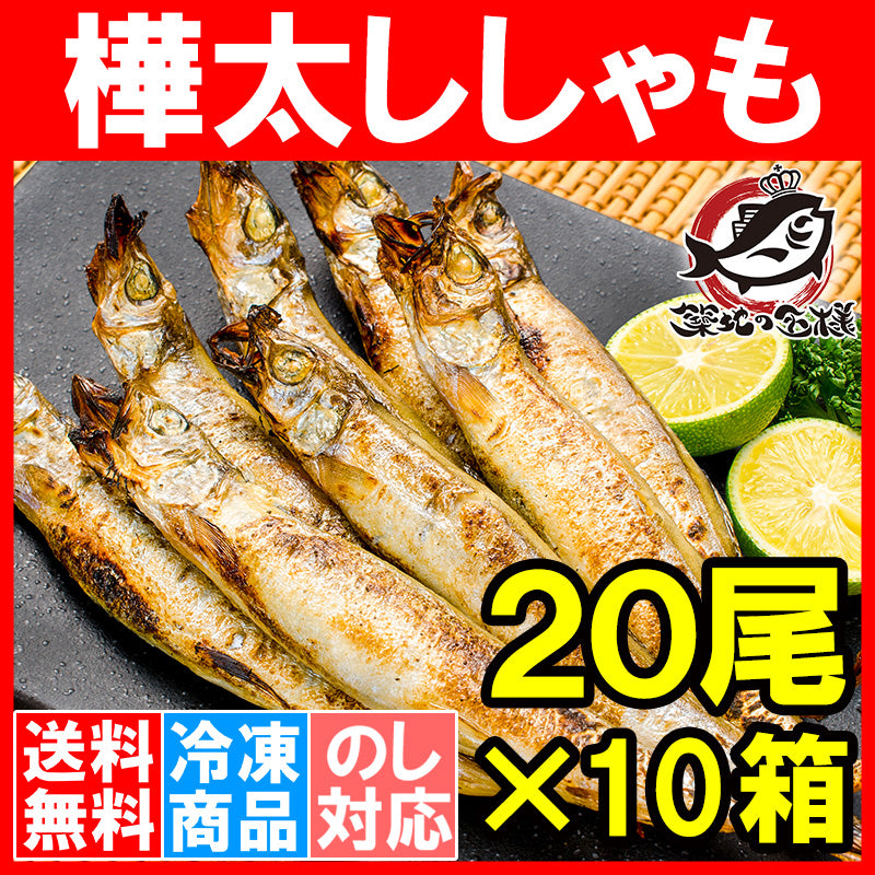 送料無料 子持ちししゃも 子持ちからふとししゃも 大サイズ 1箱20尾 ×10箱 業務用 【ししゃも シシャモ 樺太シシャモ カラフトシシャモ ノルウェー産 子持ちししゃも 柳葉魚 カルシウム 焼魚 食べる小魚 酒の肴 豊洲市場 豊洲市場 ギフト】