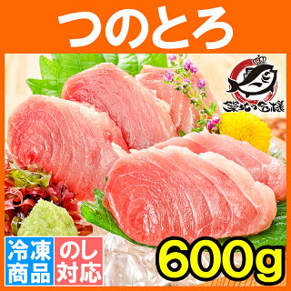 送料無料 まぐろ つのとろ 脳天 600g 新食感＆超レア端っこグルメ 脳天 頭肉 頭身 ツノトロ 脳天 ノーテン のうてん 鮪 マグロ 豊洲 刺身 訳あり 訳アリ ワケアリ わけあり