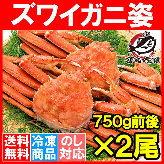 送料無料 ズワイガニ 750g前後×2尾 冷凍ゆでがに 本ズワイガニ 解凍するだけでＯＫ！ボイル冷凍 ズワイ蟹【ずわいがに かに カニ 蟹 ずわい蟹 豊洲市場 かに鍋 焼きガニ ギフト】