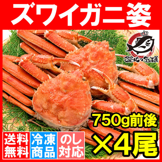 送料無料 ズワイガニ 750g前後×4尾 冷凍ゆでがに 本ズワイガニ 解凍するだけでＯＫ！ボイル冷凍 ズワイ蟹【ずわいがに かに カニ 蟹 ずわい蟹 豊洲市場 かに鍋 焼きガニ ギフト】